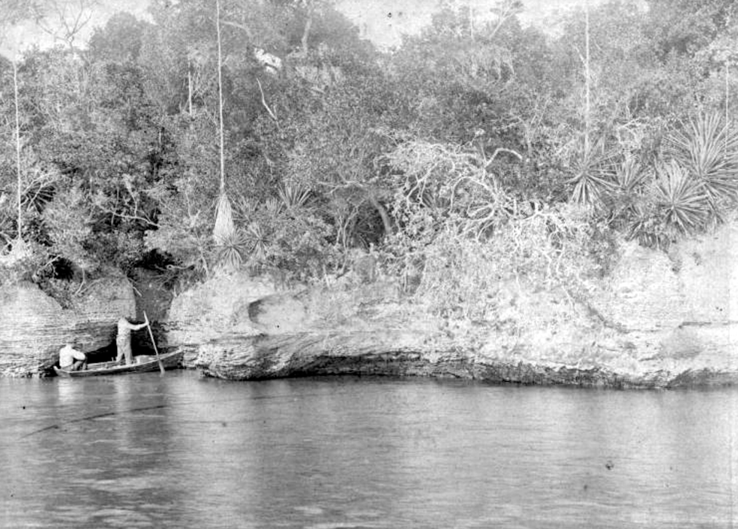What’s in a Watershed? A Look Into the Waterways We Protect