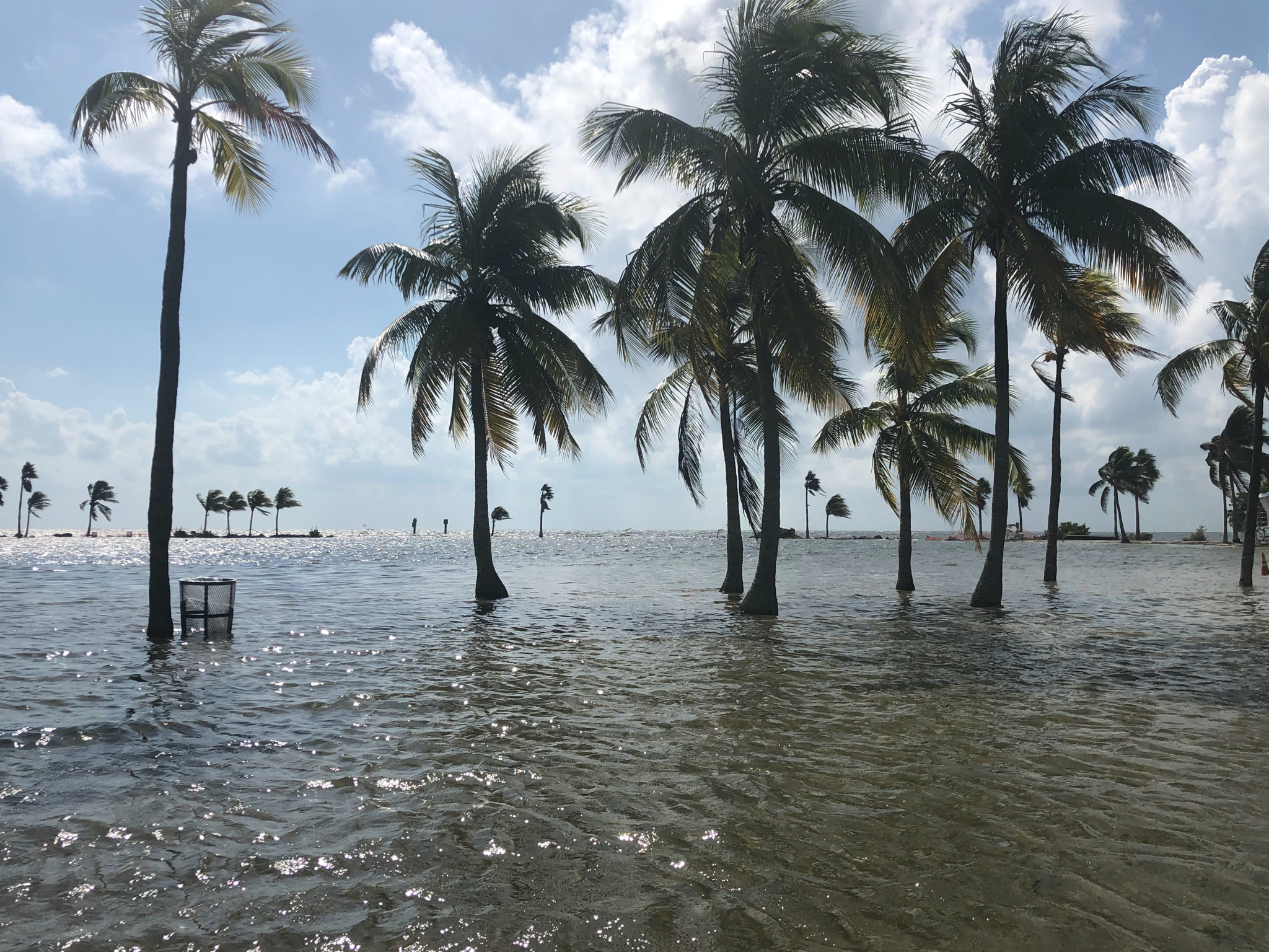 USACE Replies to Miami Waterkeeper and Partners’ Comments on Back Bay Study