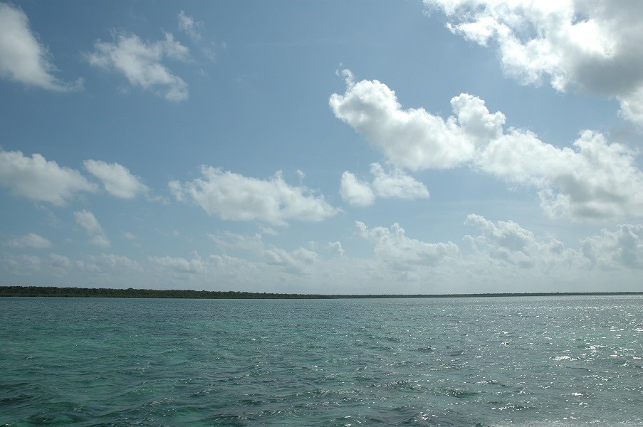 Miami Waterkeeper Comments on the County’s Draft Reasonable Assurance Plan