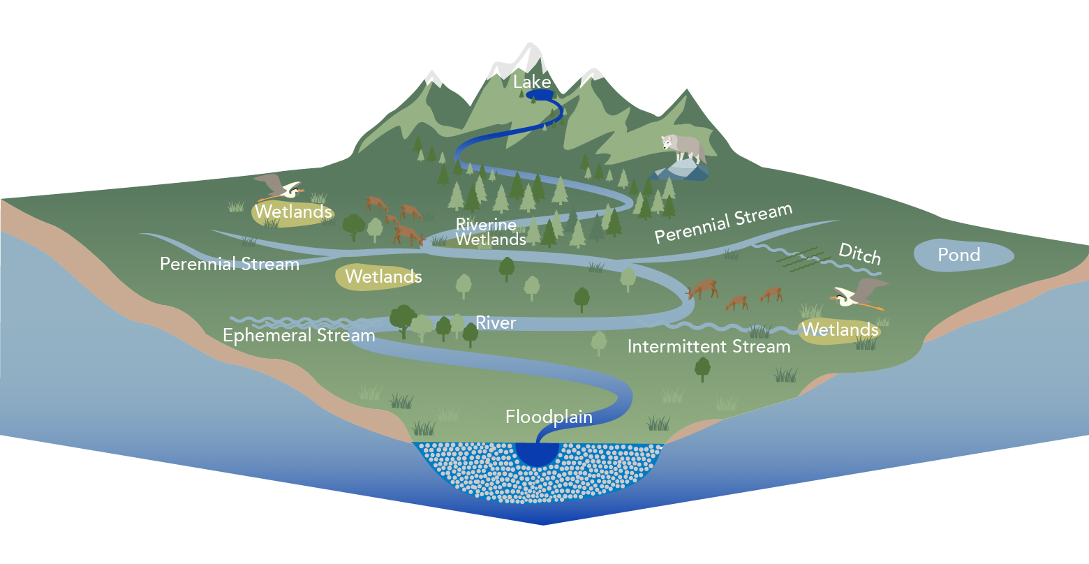 What’s Up with WOTUS?