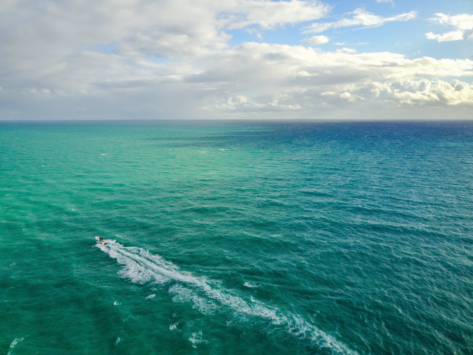 Flunking Biscayne Bay – The Report Card Is In