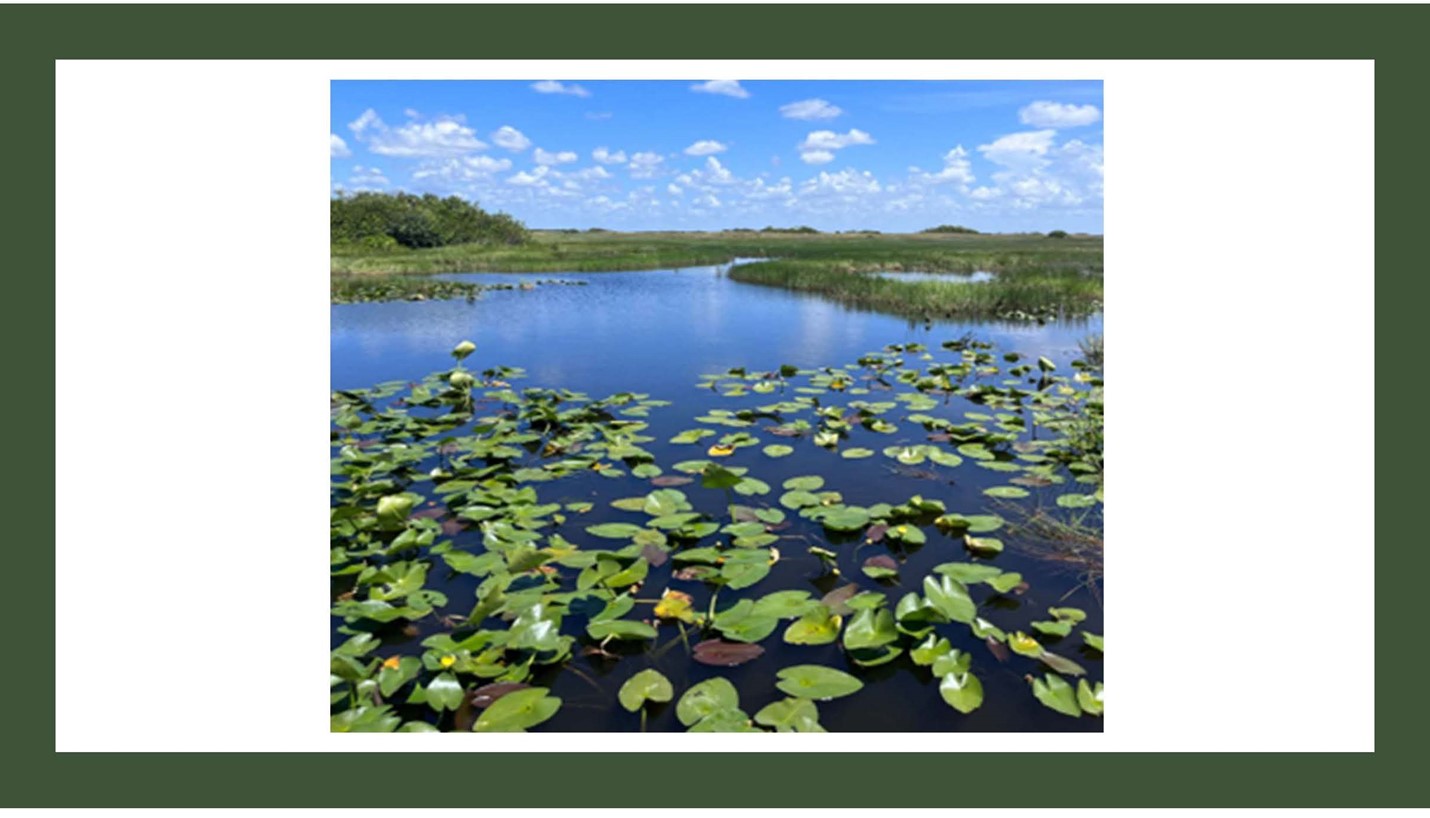 Green Infrastructure Explained