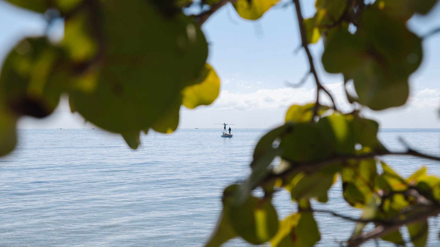 Two anglers pole a flats skiff across calm open water, framed by sea grape leaves in the foreground.