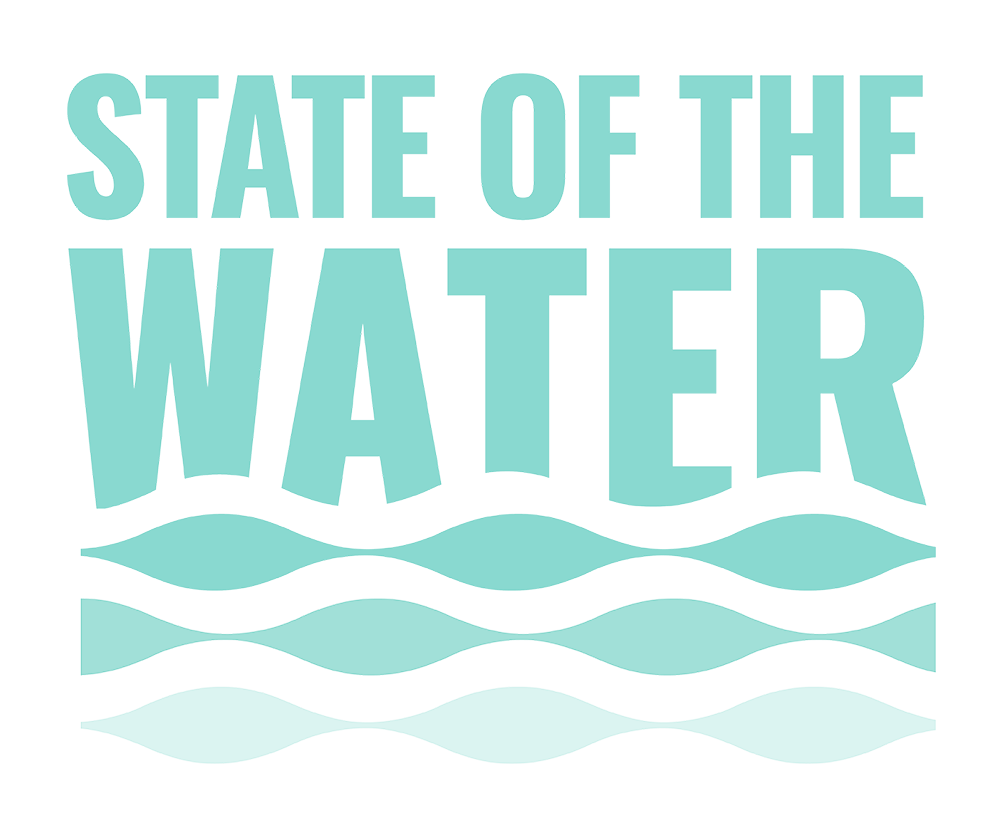 sow logo mint